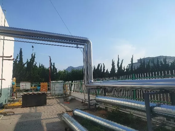 图1片11.jpg